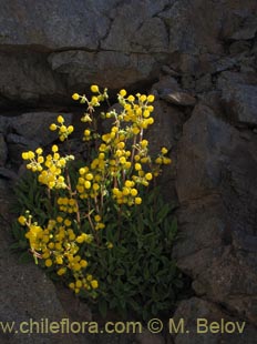 See more details and purchase options...