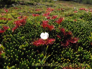 See more details and purchase options...