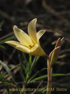 See more details and purchase options...