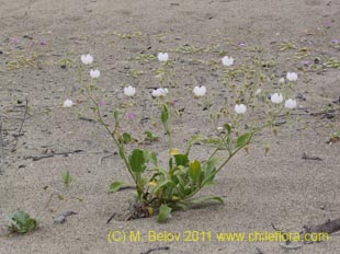 See more details and purchase options...