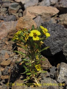 See more details and purchase options...