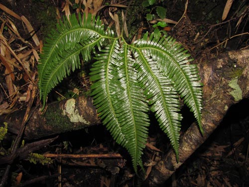 See more details and purchase options...