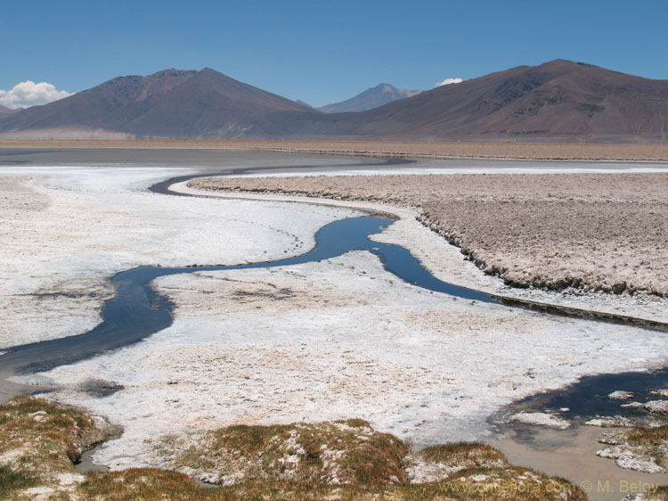 Water Roads in Salt: