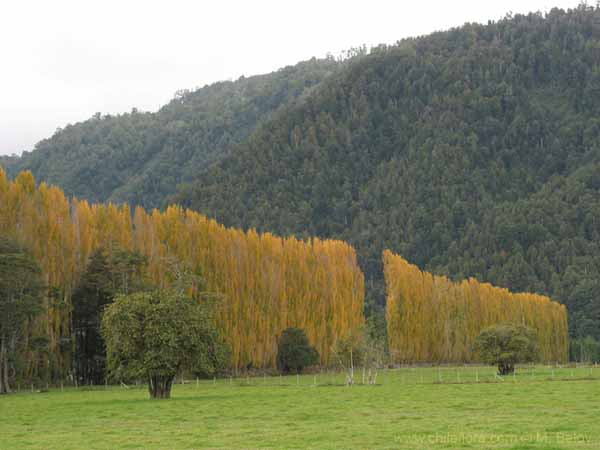 Image of a Chilean landscape
