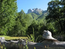 A photo of a wood clearing with a mountain in the background, and dead tree in the foreground, Radal Siete Tasas, Chile.
