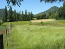 Image of countryside near Talca.